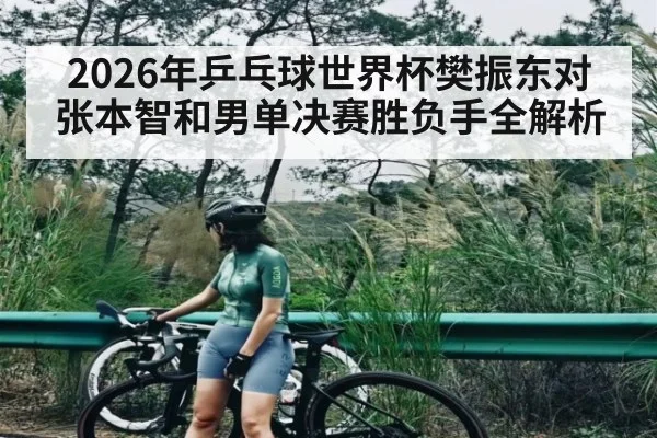 2026年乒乓球世界杯樊振东对张本智和男单决赛胜负手全解析